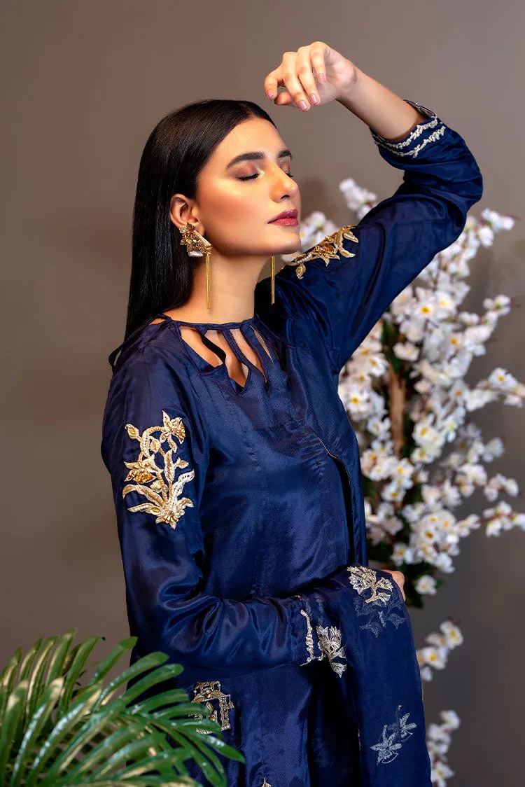 Ahmad Raza - Afsana Pret Collection - AR2066