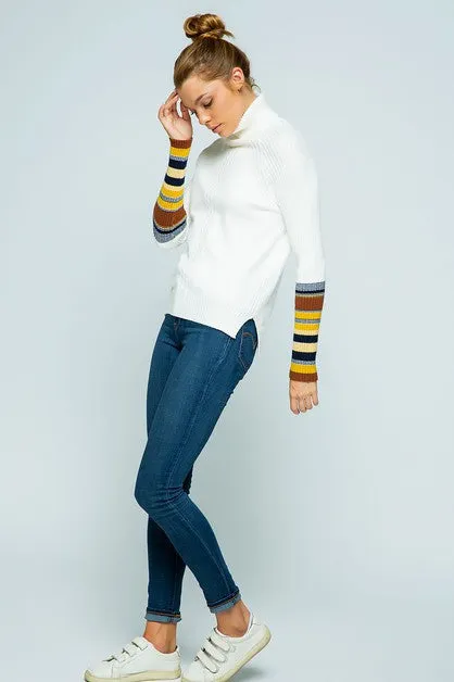 Knit TurtleNeck Stripe Sweater