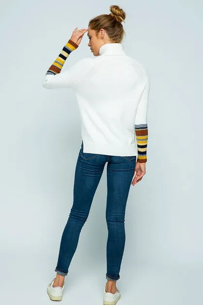 Knit TurtleNeck Stripe Sweater